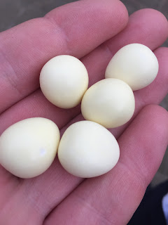 milkybar mini eggs