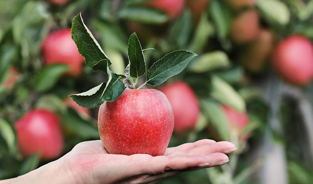 Eat apple Health tips