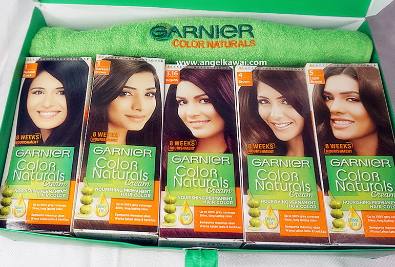 34+ Warna Cat Garnier Gambar Minimalis
