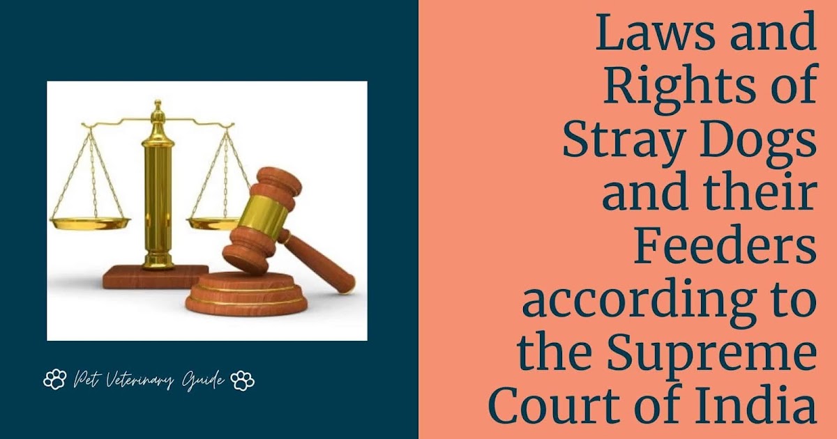 Laws and Rights of Stray Dogs and their Feeders according to the