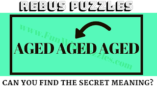 Can you solve these 5 rebus puzzles?