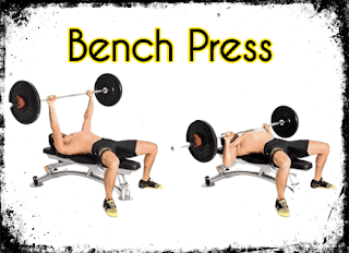 تمرين بنش بريس - Bench Press