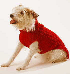 CROCHET DOG FREE KNIT PATTERN SMALL | FREE PATTERNS