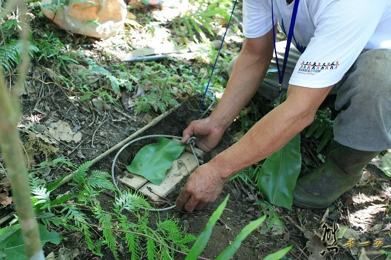 花蓮壽豐私房景點|美人山秘境|望夫崖~獵人狩獵時兼顧生態永續觀念|東海岸水璉部落工作假期
