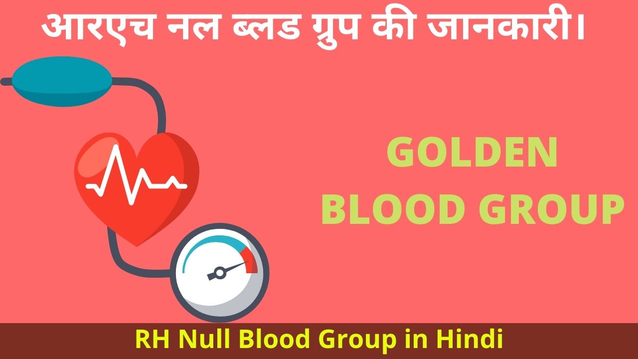 Type blood rh null What's the