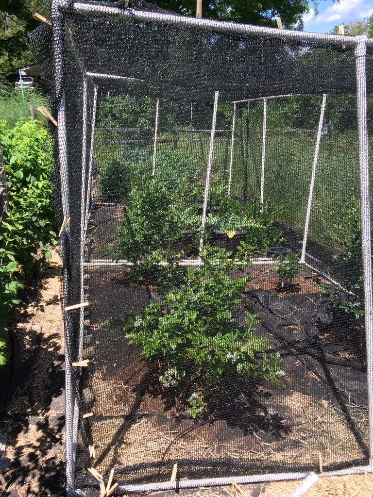 Bird Netting For Garden Home Depot Easy Gardener 7 ft. x 100 ft