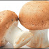 Women farmers earn big profits from mushrooms