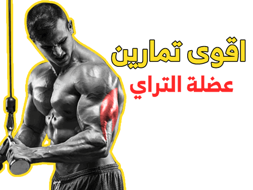 تمارين الترايسبس بالصور