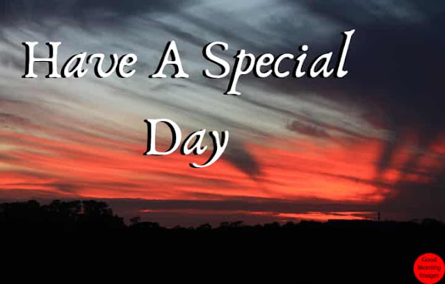 good afternoon wish to wife good afternoon wish to wife