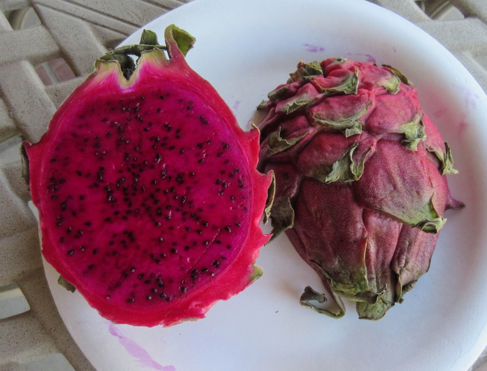Cannundrums Red Dragon Fruit