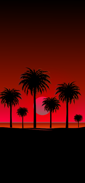 Beach sunset with palm silhouettes amoled oled black wallpaper background iphone new android