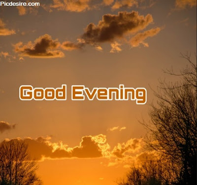 50 Best Good Evening Images || Good Evening Image
