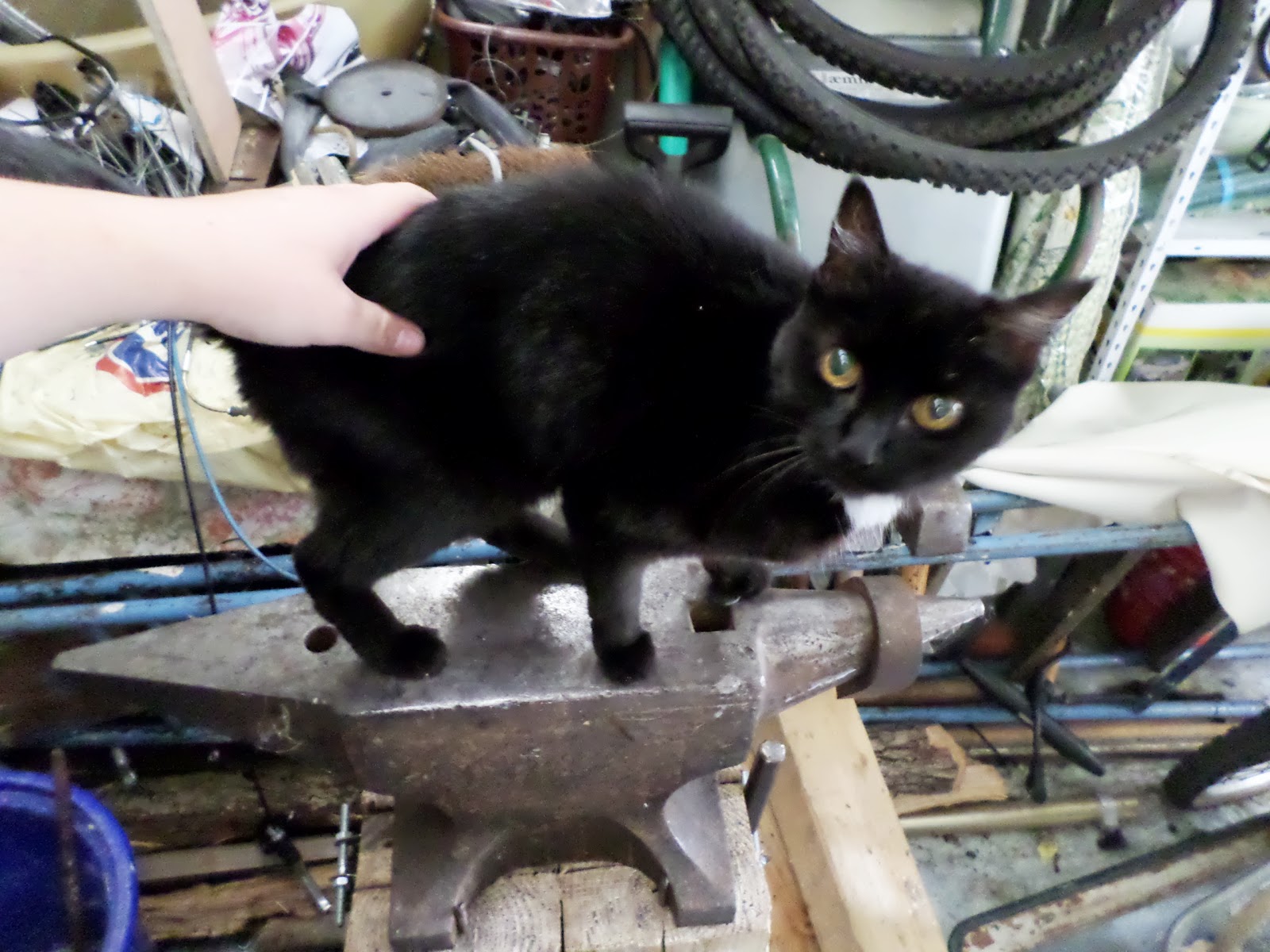 Coutellerie Au Chat Un Petit Test De Tire Bouchon Forge
