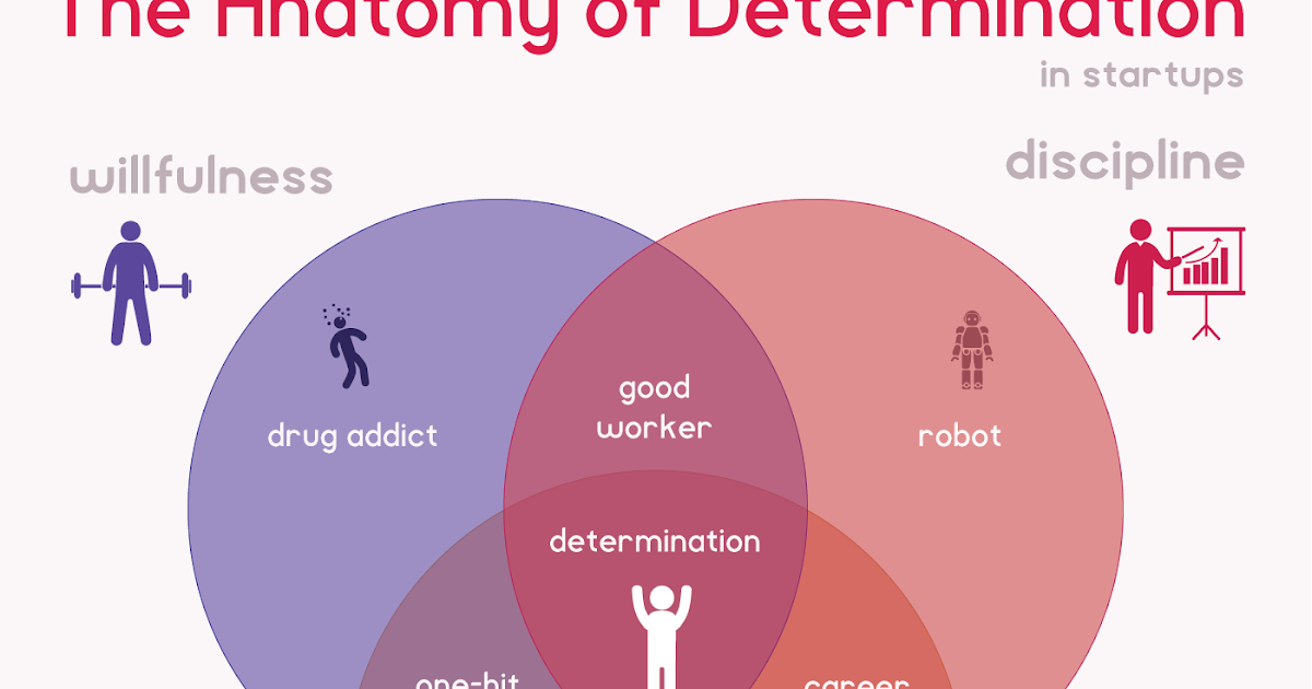 Sry ген у женщин. That determining. Determines в английском. опыты эвери маклеода. That determining.