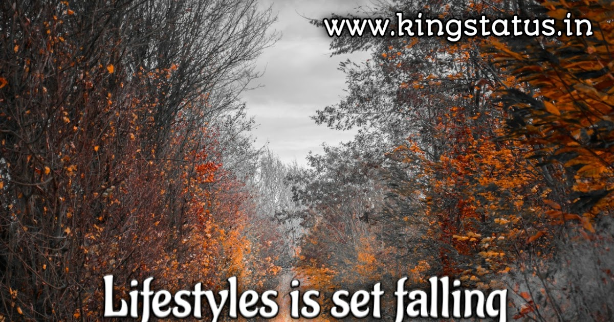 Best 150+ English Status On Life 2020