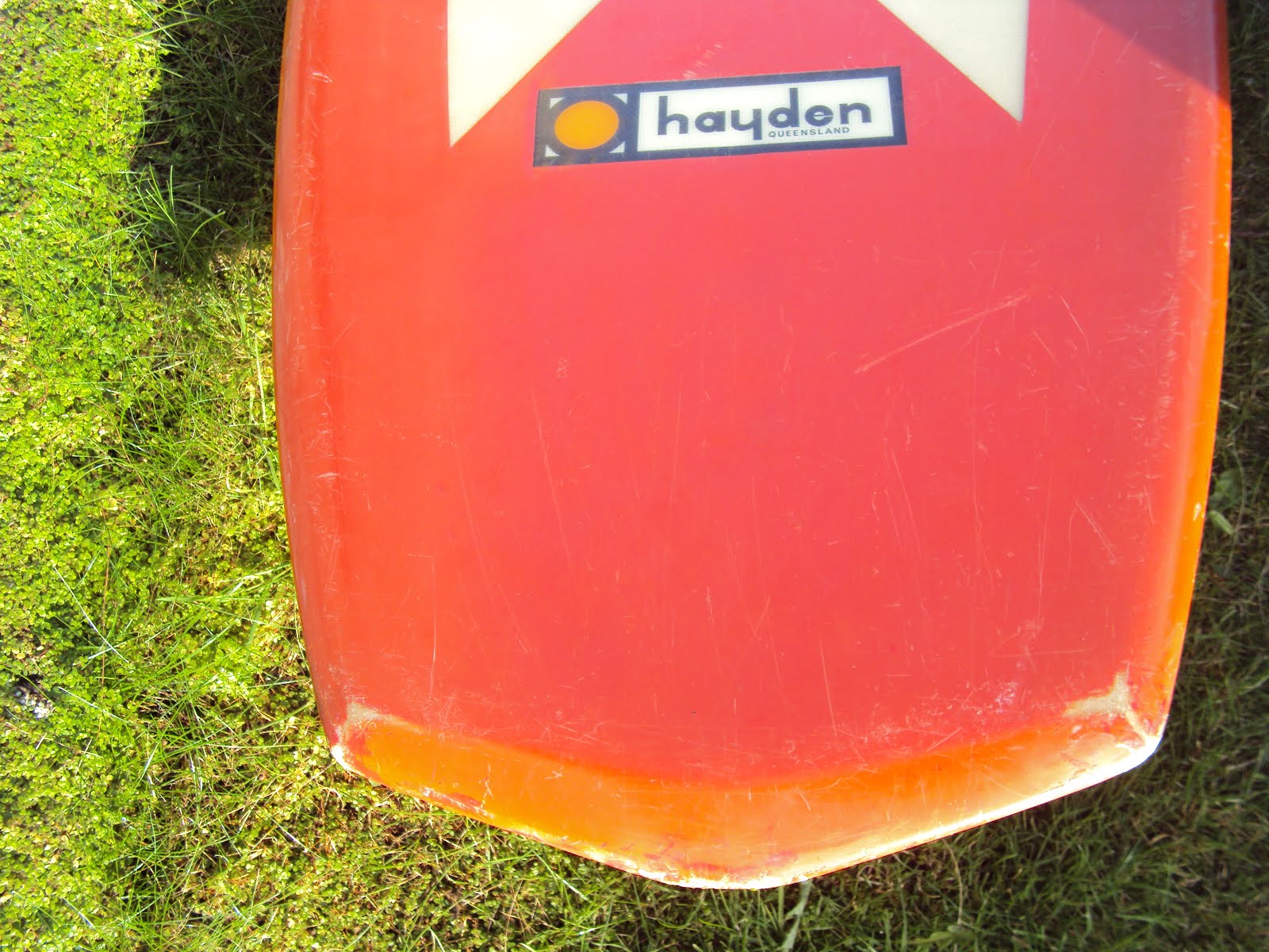 vintage surfboard collector UK Hayden spoon kneeboard