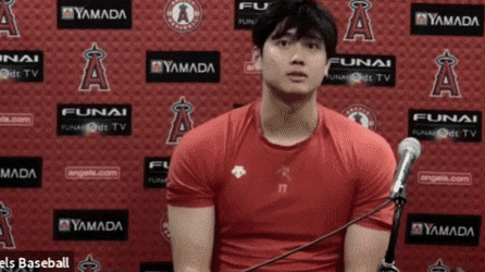 AcclaimedEqualAdeliepenguin-size_restric