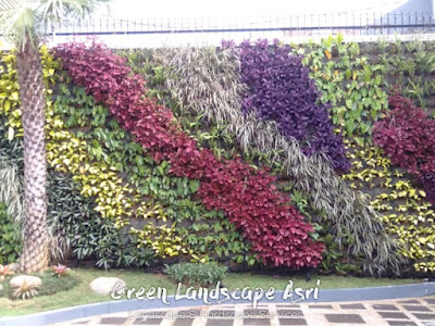 Jasa Tukang Vertical Garden Barito Selatan, Timur, Utara - Jasa Pasang Taman Vertikal di Barito Selatan, Timur, Utara Jasa Tukang Vertical Garden Barito Selatan, Timur, Utara - Jasa Pasang Taman Vertikal di Barito Selatan, Timur, Utara