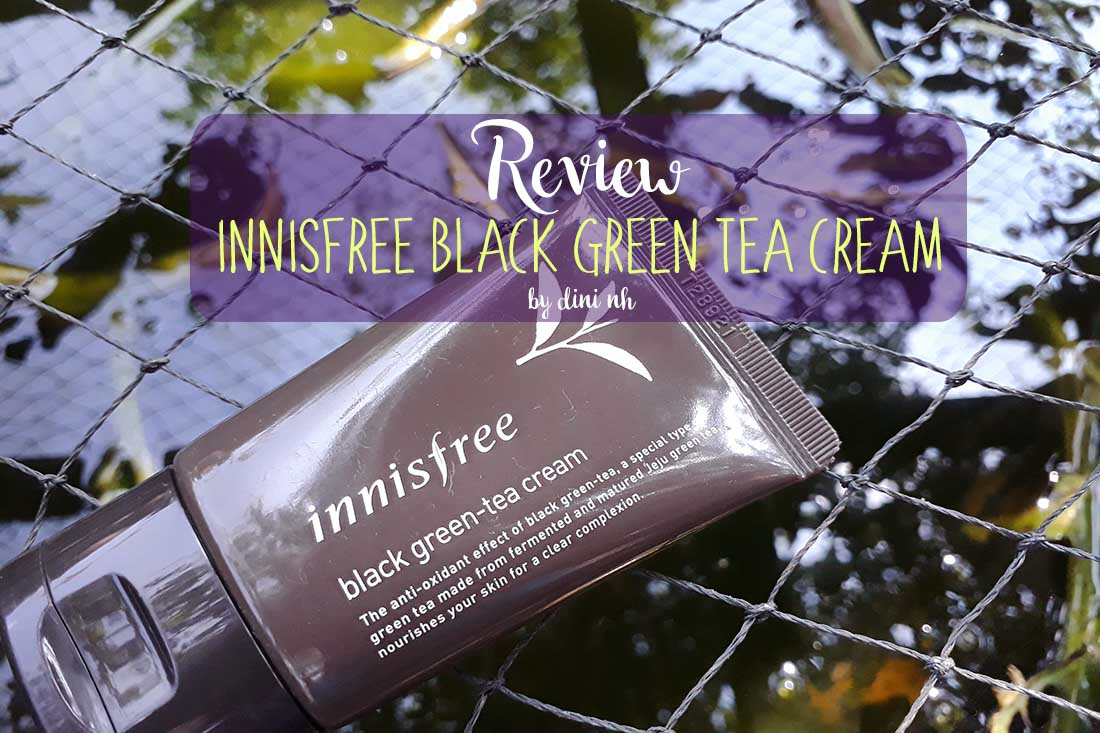 Innisfree Black Green Tea Cream Review HD Gallery