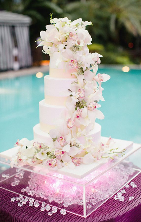 Why do you save the top tier of wedding cake Preserve The Top Tier Of A Wedding Cake Wedding Celebration