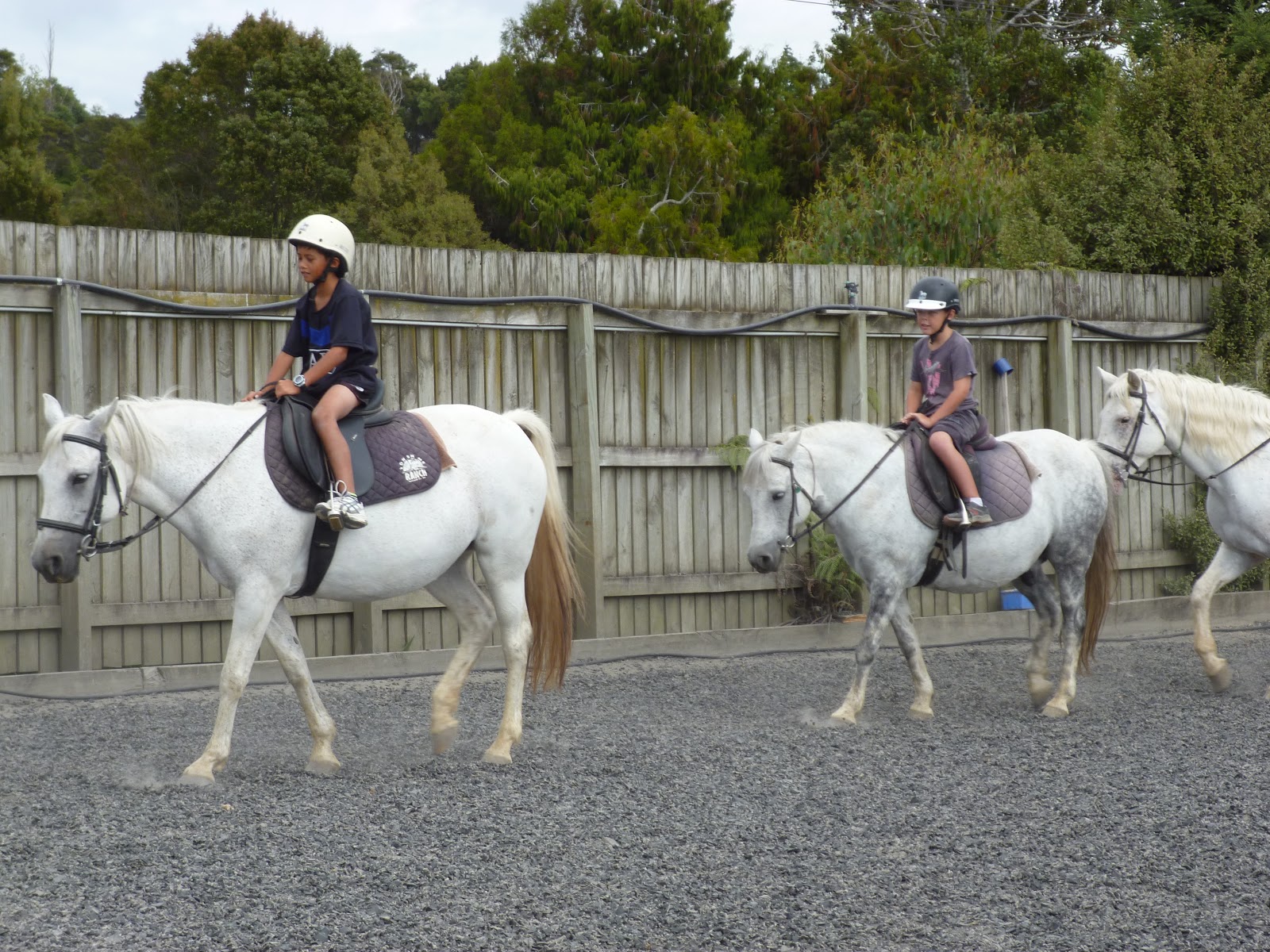 FABULOUS FIFTEEN AT BDS2013: Year 5 Camp at Sonshine Ranch