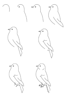 Langkah-langkah menggambar ragam hias motif burung www.simplenews.me