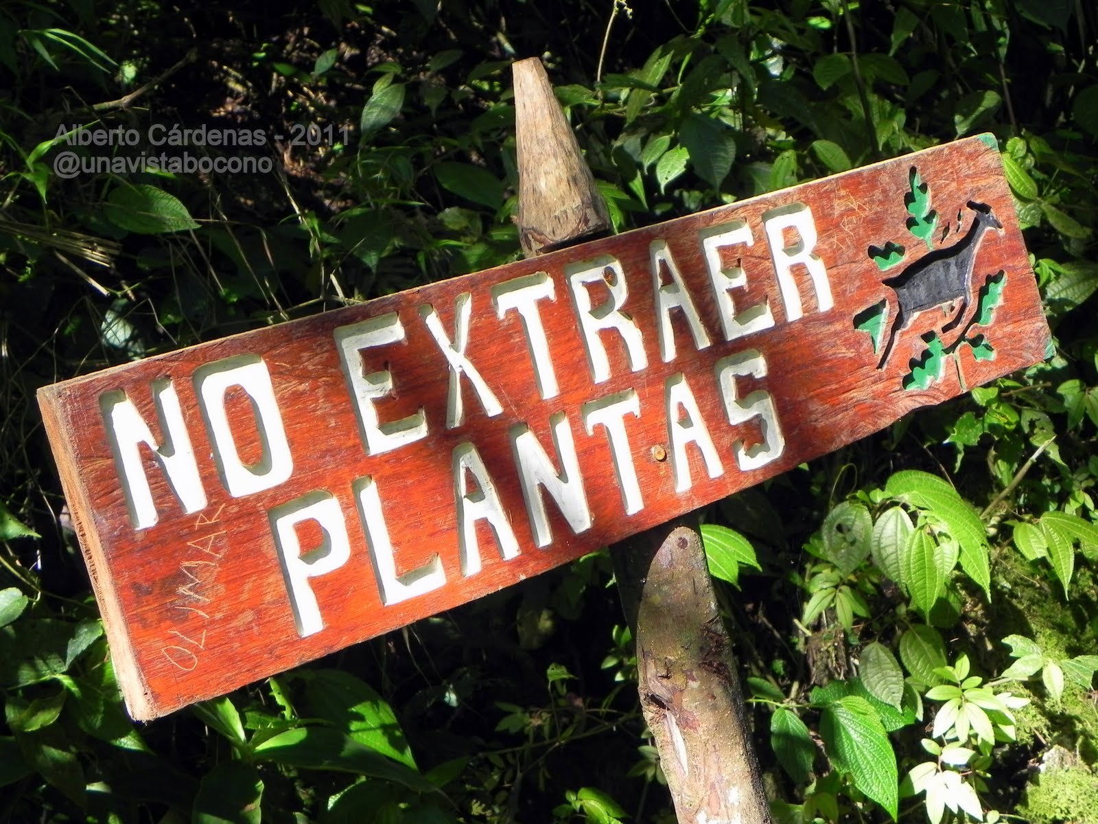 Slottica Casino: Apenas para os melhores jogadores brasileiros