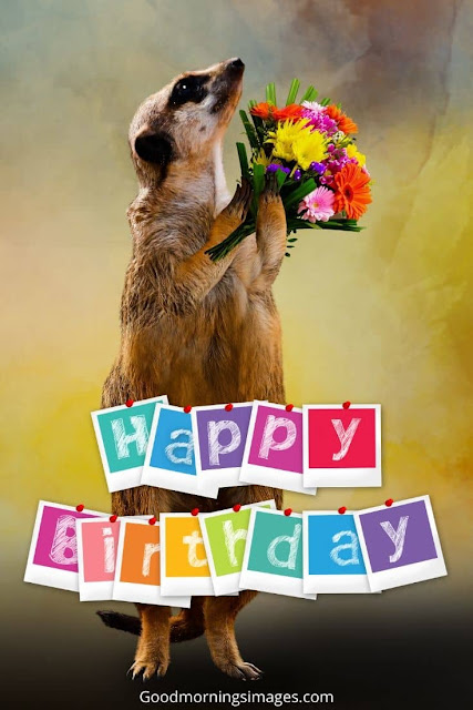 happy birthday sms bengali and hindi happy birthday sms bengali and hindi