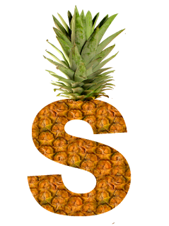 Abecedario hecho con Piel de Piña. Pineapple Alphabet.