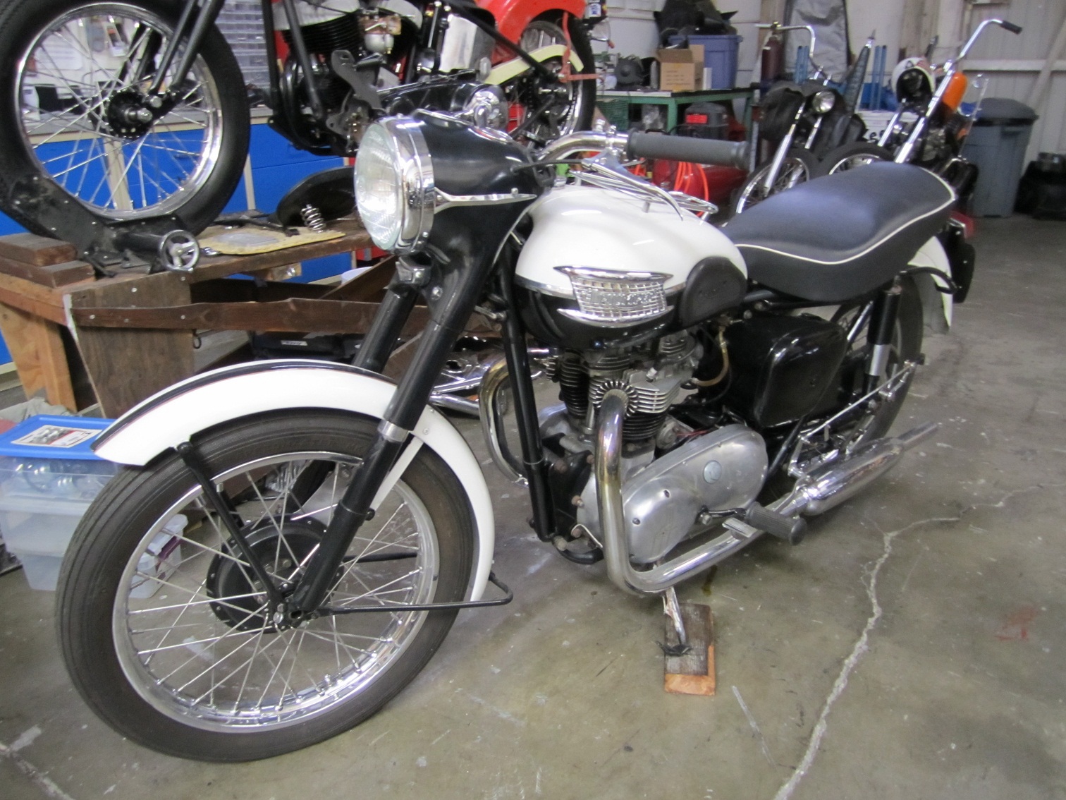 1955 triumph motorcycle