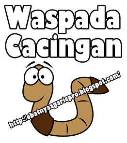 Obat Cacingan Paling Fenomenal Yang Terbuat Dari Herbal Obat Cacingan Paling Fenomenal Yang Terbuat Dari Herbal