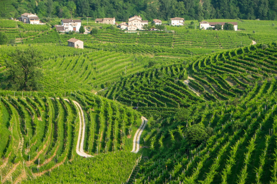 Patrimonio de la Humanidad: Colinas de vides del ‘prosecco’ de