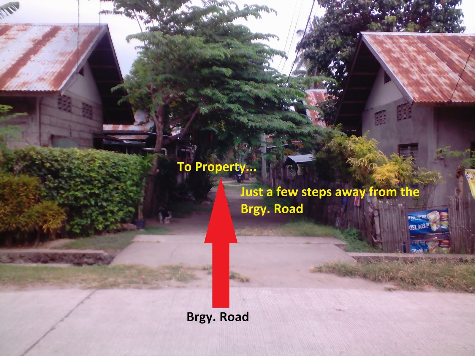 1218 square meters, Lot for Sale in Balugo 2, Purok Mangga, Dumaguete