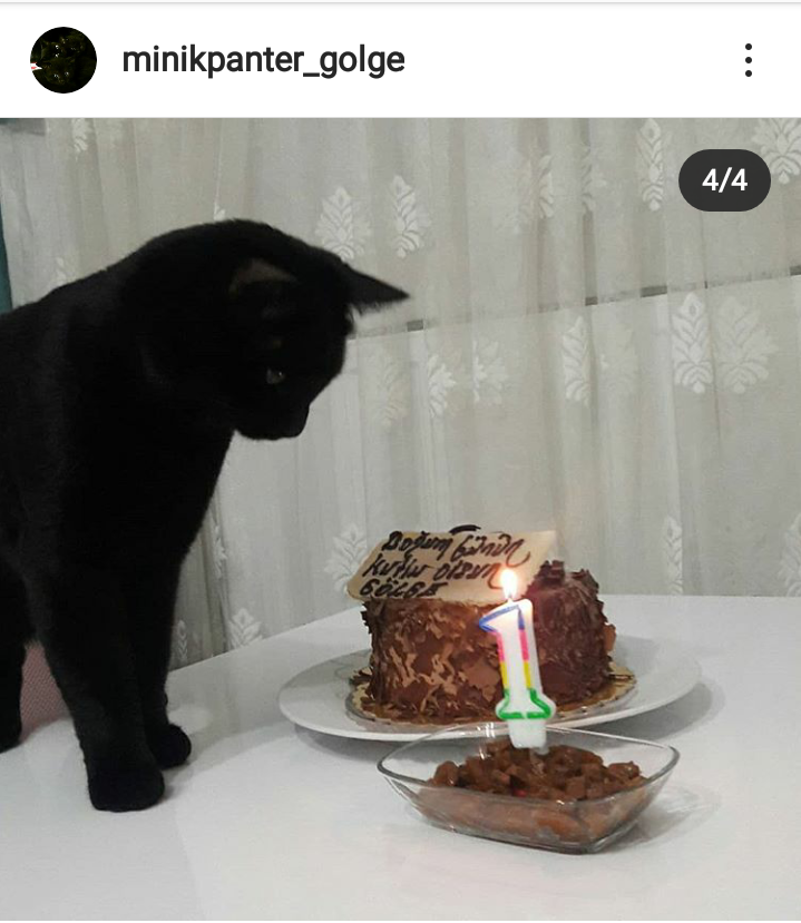 Karakalem Kara Kedi Çizimi Doğum Günü Kedisi
