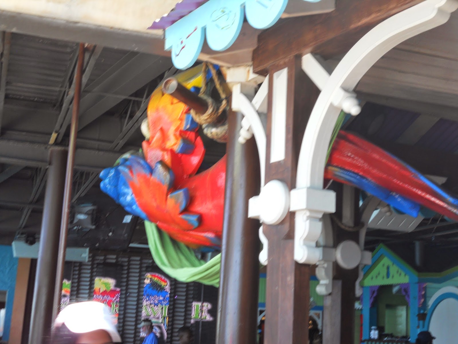 Married and Hungry Honeymoon/ Carnival Cruise Overview