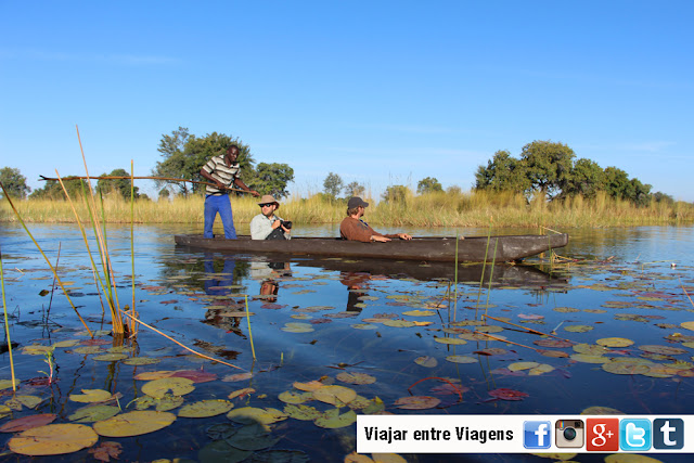 Visitar o DELTA DE OKAVANGO e explorar os seus canais | Botswana
