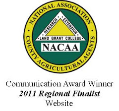 NACAA Award