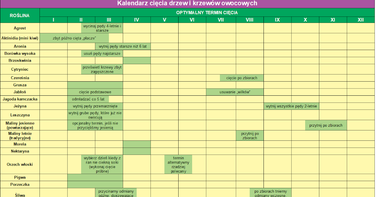 Terminy Oprysków Drzew I Krzewów Owocowych kwiatowyiwarzywny.blogspot.com