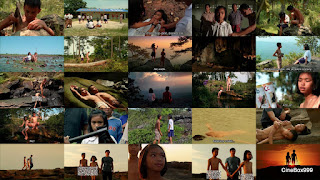 ป่า / The Forest. 2016. ป่า / The Forest. 2016.