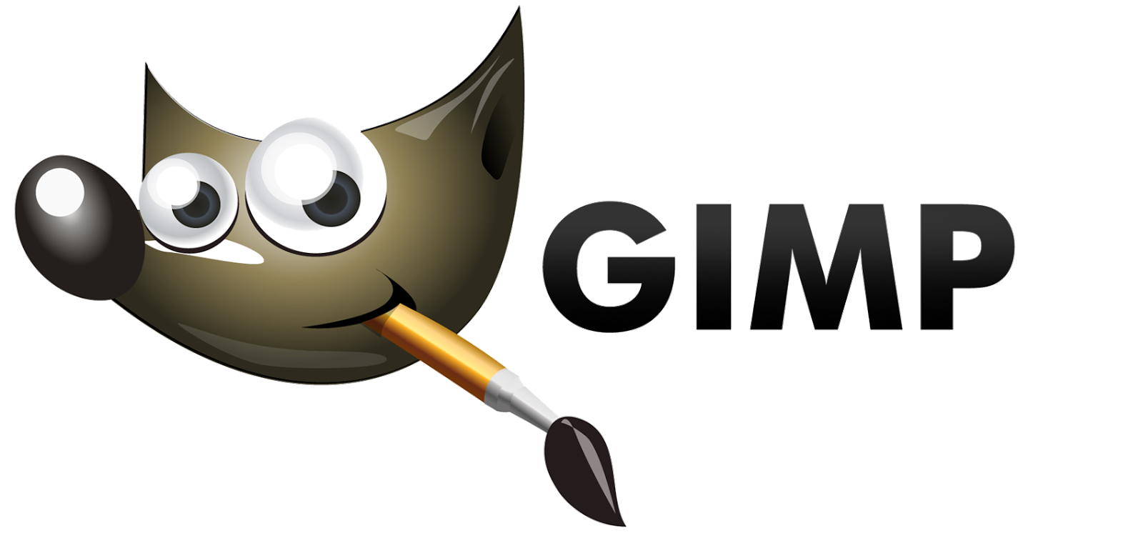 gimp gimp