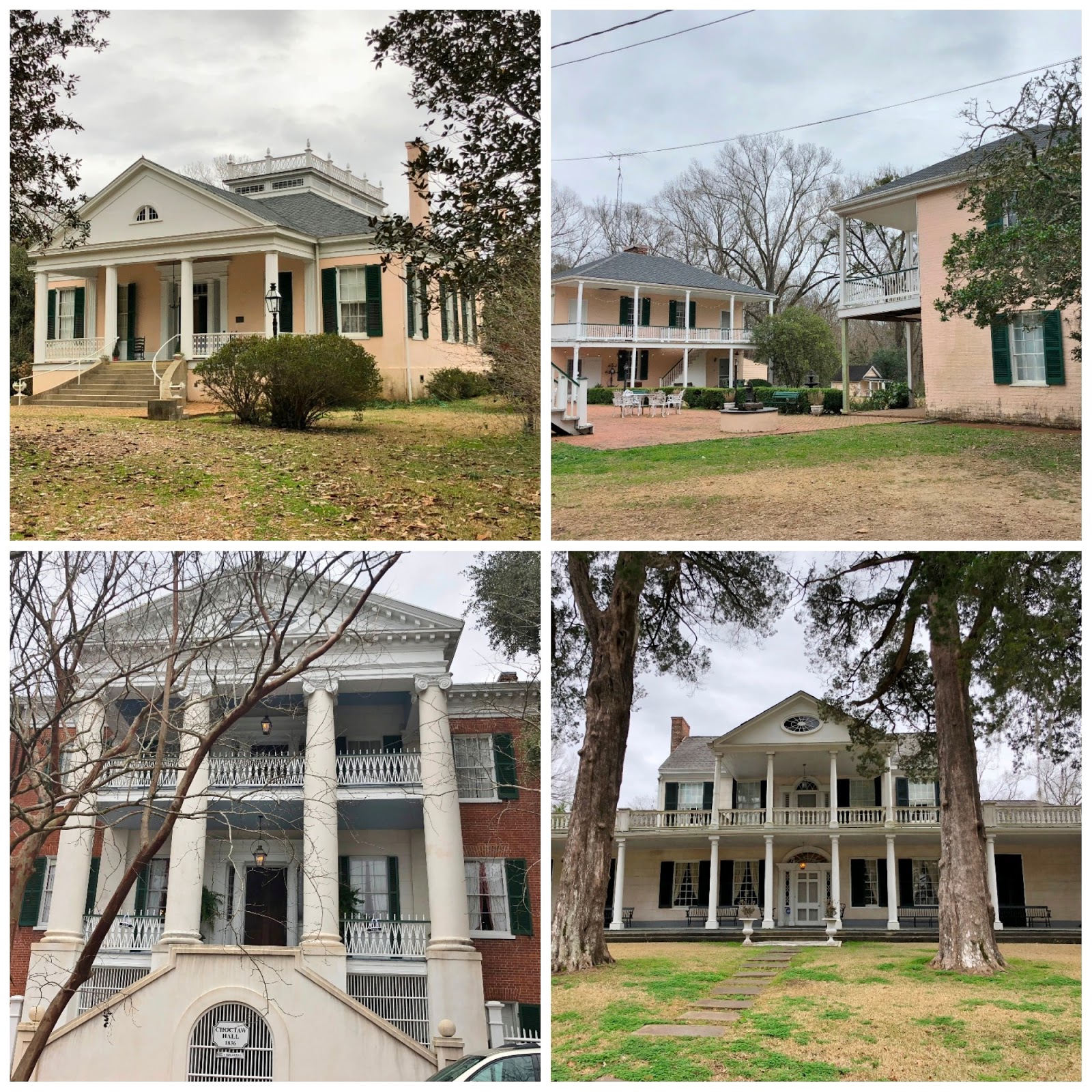 Barrett's Happy Trails Louisiana Vidalia