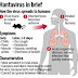 What is Hantavirus disease?  One Died In China A big attack after coronavirus