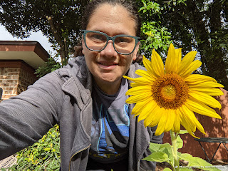 Sunflower Blooming