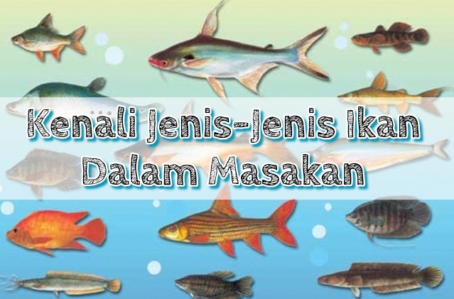 Jenis masakan ikan