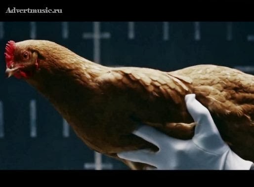 Реклама мерседес с курицей. Клип с участием курицы большой. Как отрекламировать курицу.