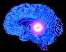 Future of human consciousness involves ‘third eye’ pineal gland?