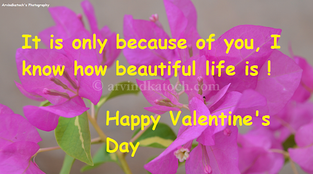 Card, HD, Valentine Day, Beautiful Life