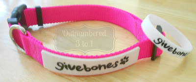 Givebones Givebones collar