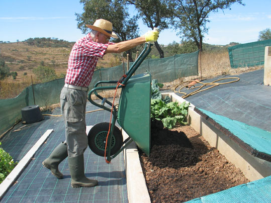 Compost Farming Hestel Tellus Alwin Seifert and the Microbes.