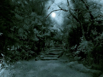 Imagen tenebrosa de unas escaleras que dan entrada a un oscuro bosque nocturno, con la luna en el cielo.